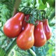 Ντομάτα Κόκκινο Αχλάδι (Red Pear) - 20 Σπόροι