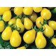 Ντομάτα Κίτρινη (Yellow Pear/Cherry Bell) 30 Σπόροι