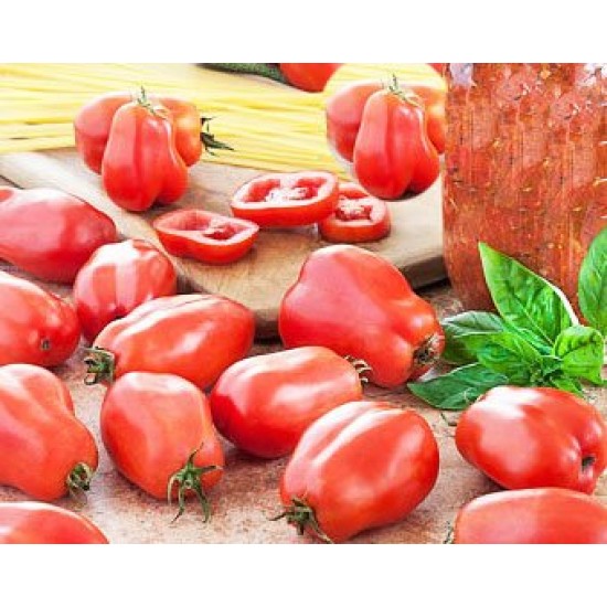 Ντομάτα Marzano - 0,5γρ. Σπόροι