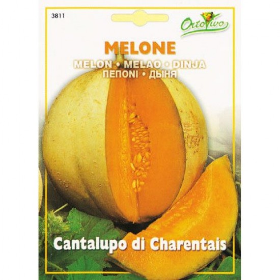 Πεπόνι Κανταλούπε/Cantaloupe 4,5γρ σπόροι Πεπονιού