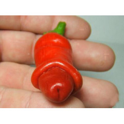 Πιπεριά "Peter Pepper" - Έτοιμο φυτό 15 εκ.