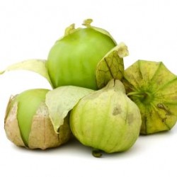 Ντομάτα φυσαλίδα - Physalis ixocarpa – σπόροι 0,5g