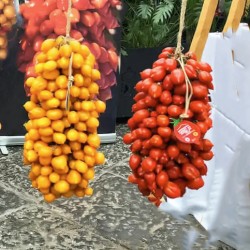 Ντομάτα Piennolo del Vesuvio Κίτρινη - Ίσως η Καλύτερη Ντομάτα της Ιταλίας - 10 Σπόροι