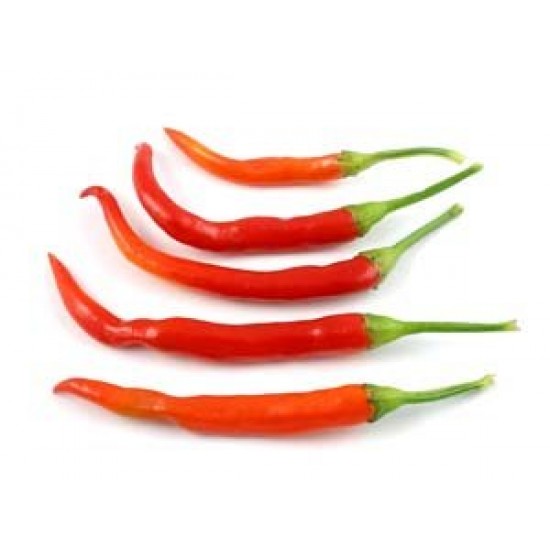 Πιπεριά Καγιέν καυτερή 25 Σπόροι (Cayenne) Πιπεριά Καγιέν καυτερή 25 Σπόροι (Cayenne)