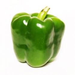 Πιπεριά πράσινη 2,5γρ Σπόροι