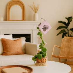 Σαλιγκαρόφυτο "Dischidia pectenoides Snaily" - 35 εκ.