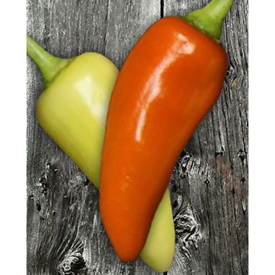 Σαντα Φε Καυτερή πιπερια / Santa Fe Grande Pepper - 15 Σπόροι Σαντα Φε Καυτερή πιπερια / Santa Fe Grande Pepper - 15 Σπόροι