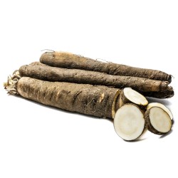 Μαύρο Λαγόχορτο Μεγάλο (Black salsify / Scorzonera) - 15 Σπόροι