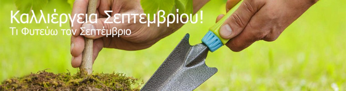 Τι φυτεύω τον Σεπτέμβριο? Καλλιέργεια Σεπτεμβρίου Τι φυτεύω τον Σεπτέμβριο? Καλλιέργεια Σεπτεμβρίου