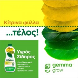Υγρός Σίδηρος 300ml 