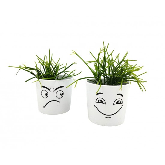 Σύνθεση Rhipsalis σε κασπώ με φατσούλα διπλή happy /angry!