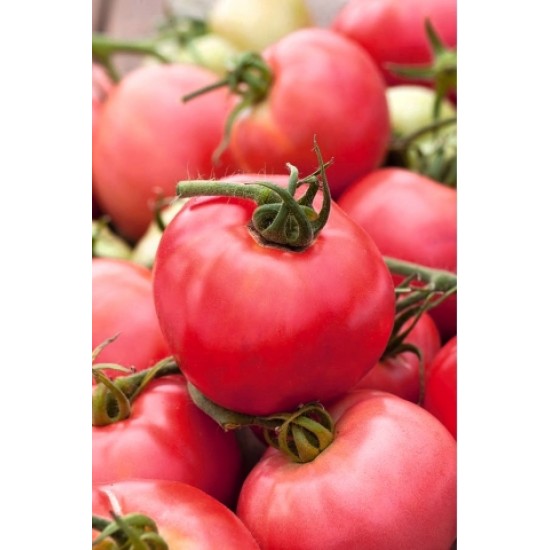 Ντομάτα "Raspberry Rodeo" 0.2g σπόροι