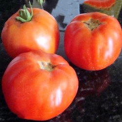 Ντομάτα Marglobe - 10 Σπόροι