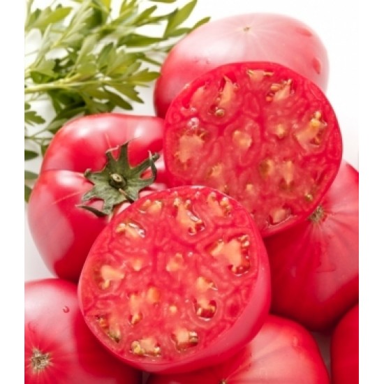 Ντομάτα Pink Oxheart - σπόροι 0,1g