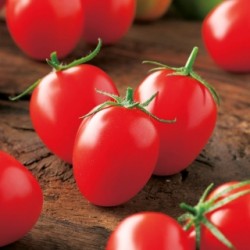 Ντομάτα cherry Principe Borghese - 0.3g σπόροι