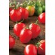 Ντομάτα cherry Principe Borghese - 0.3g σπόροι