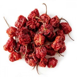 Trinidad Scorpion Αποξηραμένες Καυτερές Πιπεριές - 10gr.