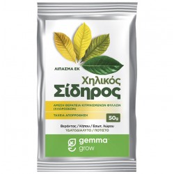 Χηλικός σίδηρος Super Green σε σκόνη - 50g