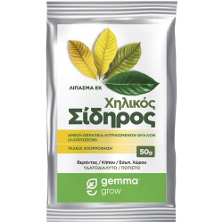 Χηλικός σίδηρος Super Green σε σκόνη - 50g