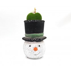 Σύνθεση Κασπώ Snowman & Παχύφυτο Hoya Kerii Φ10x18Υ 