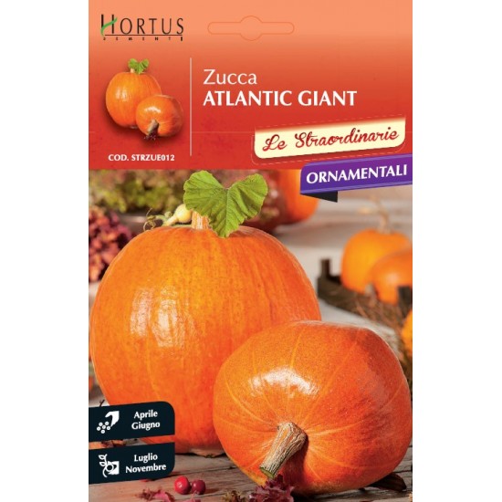 Κολοκύθα Μεγάλη Atlantic Giant 5γρ. Σπόροι