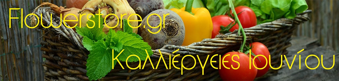 Τι φυτεύουμε τον Ιούνιο; Καλοκαιρινή Καλλιέργεια