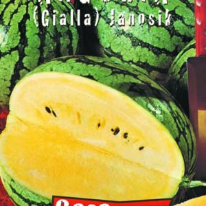 Καρπούζι Kίτρινο Gialla  janosic Citrullus lanatus - 0,5γρ. Σπόροι