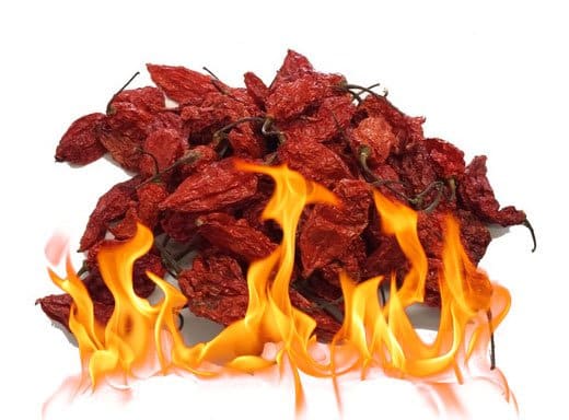 Dried Bhut Jolokia peppers with flames