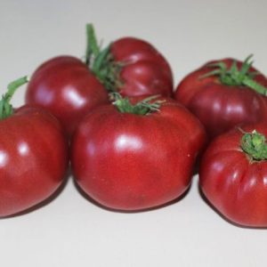 Ντομάτα Bononia 1γρ. Σπόροι