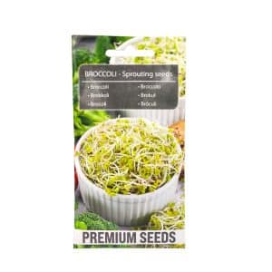Broccoli sprouting seeds in a packet