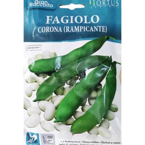Φασόλι Γίγαντας  Αναρριχώμενο 10g.