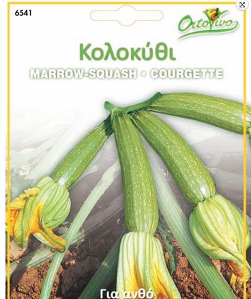 Κολοκυθάκι (Zucchino/Marrow Squash) με ανθό 5γρ.