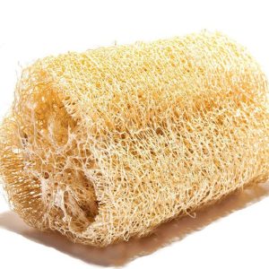 Λούφα κολοκύθα / Φυτικό σφουγγάρι! 0.8γρ. Σπόροι Λούφας