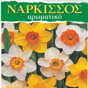 Νάρκισσος Ανάμικτα Χρώματα - 3 Βολβοί