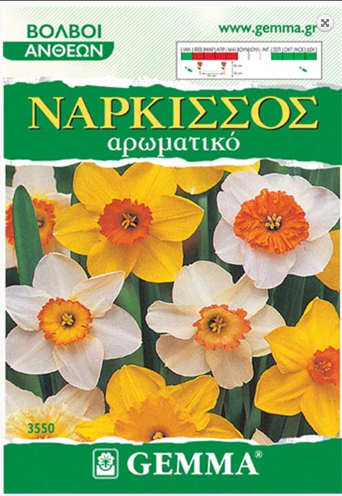 Νάρκισσος Ανάμικτα Χρώματα - 3 Βολβοί