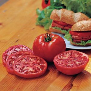 Sliced Supersteak F1 tomatoes