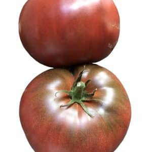 Μαύρες ντομάτες Giant Fiolet