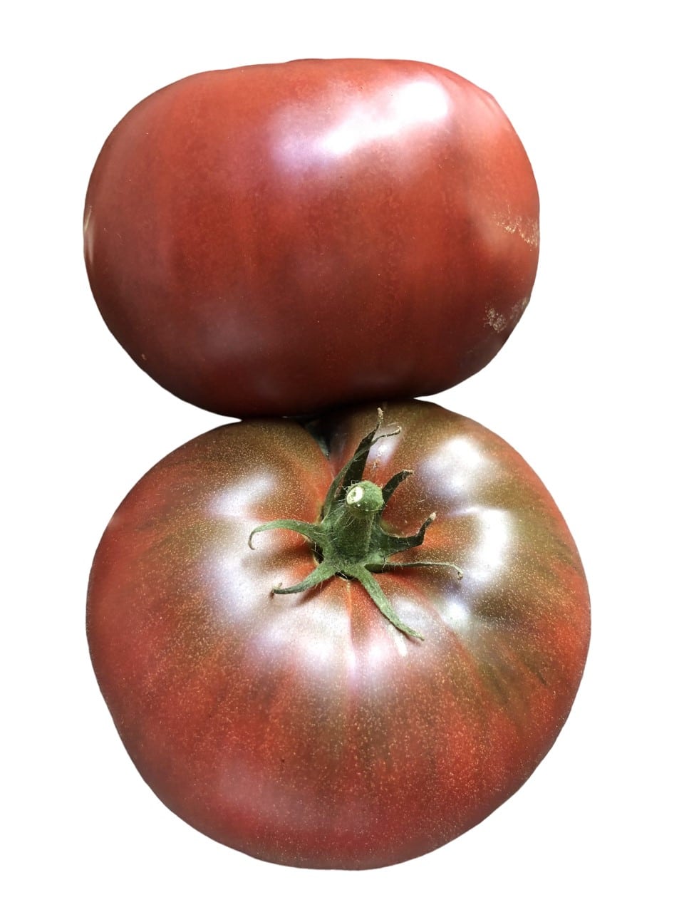 Μαύρες ντομάτες Giant Fiolet