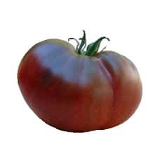Μαύρη ντομάτα Giant Fiolet