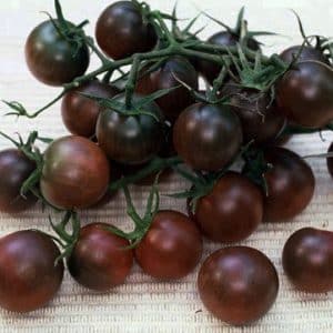 Μαύρα ντοματίνια black cherry στο φυτό