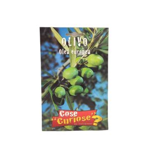Ελιά / Olea Europea  Σπόροι 2,5 γρ.