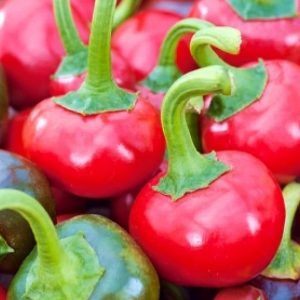 Καυτερή πιπεριά "Red Coral"- Capsicum annuum 0.2g σπόροι