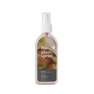 Tillandsia air plant care spray 150 ml