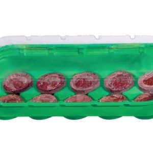 Mini seed-starting greenhouse with 10 peat pellets
