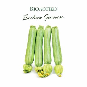 Βιολογικοί Σπόροι Κολοκυθάκι "Zucchini" με Ανθό - 5 γρ σπόροι