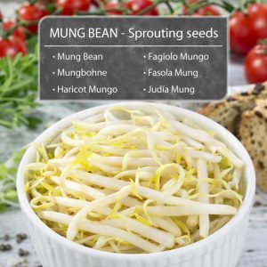 φύτρες mang bean