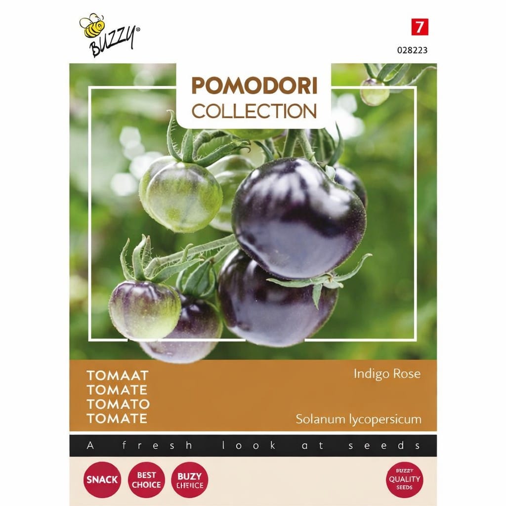 Black Indigo Rose tomato seeds in a packet