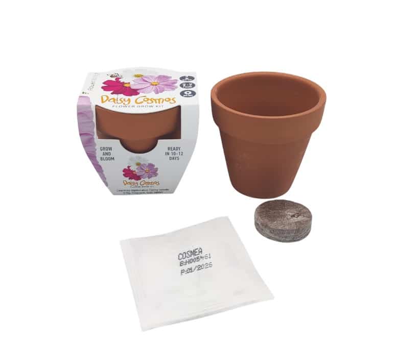 Grow kit μαργαρίτα cosmos: γλαστράκι, σπόροι και χώμα