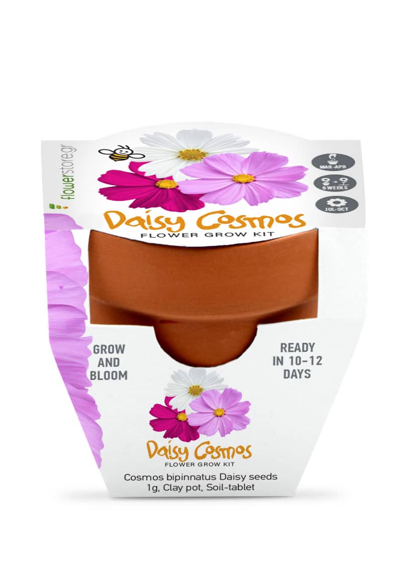 Grow kit μαργαρίτα cosmos σε συσκευασία