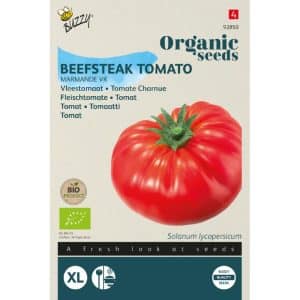 tomato-marmande.